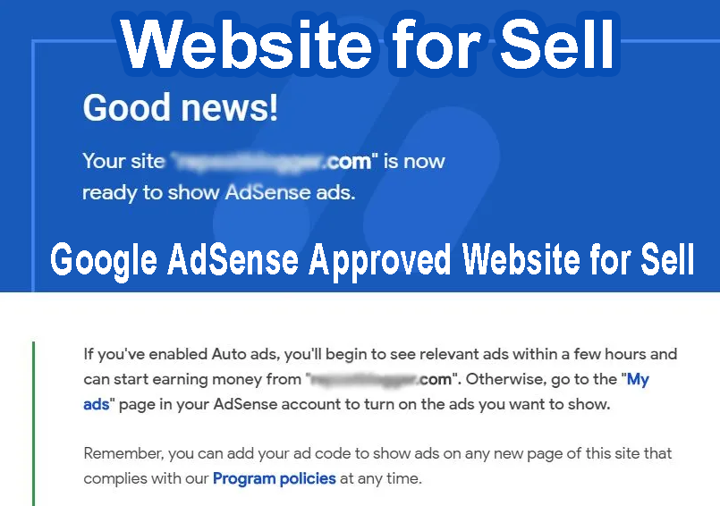 Buy Google AdSense Approved Domain Website