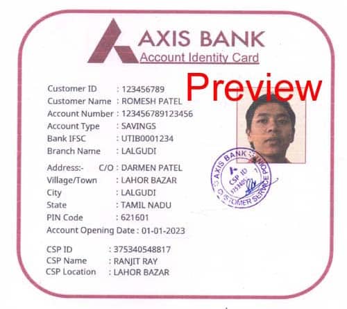 Axis Bank CSP Customer Account Print with Photo or Download pdf preview